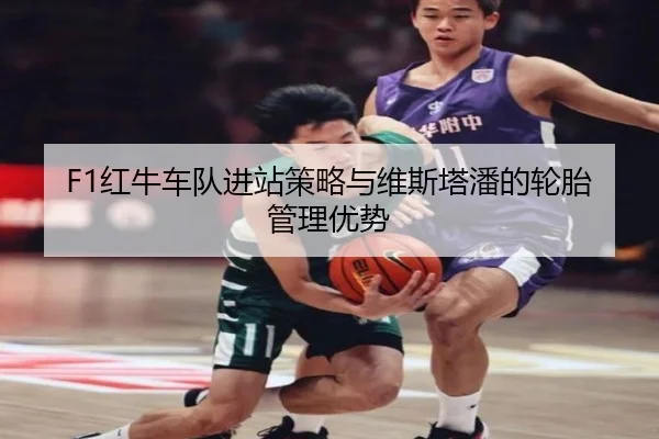 F1红牛车队进站策略与维斯塔潘的轮胎管理优势